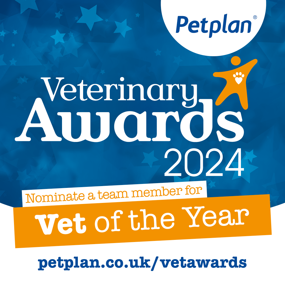 Petplan - Vet website